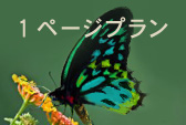 1ページプラン